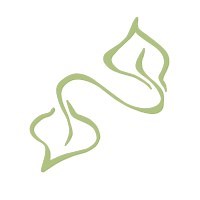 Cityscapes | LinkedIn