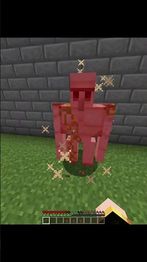 Does This Prove It's Real? #minecraft #shorts #trick