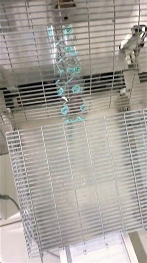 #packing #machine #cake