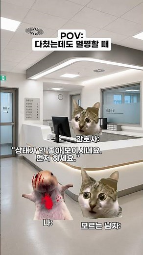고양이 밈 🐱 다쳤는데도 멀쩡할 때 #catmemes #relatable #relationship