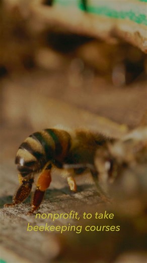 When life gives you vacant lots... you raise bees. 🐝 Detroit Hives is transforming their community one hive at a time. Watch their story tonight (July 16) at 9/8c on Human Footprint! | PBS