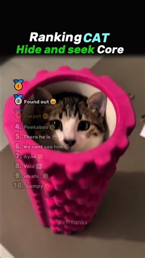 These Cats Are Too Good At Hide and Seek 🤣🏆 #cat