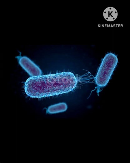 BENEFITS OF KISSING NUMBER 10