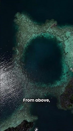 The Last Paradise: Raja Ampat, Indonesia