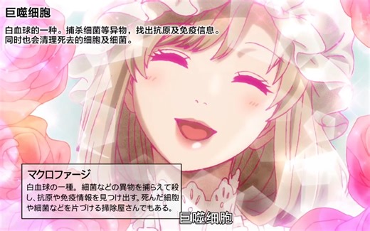 【工作细胞】知识点整理（5）