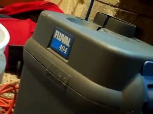 My Media Inside My Fluval 404 Canister Filter