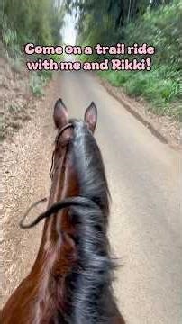 Little draft 💛 #horse #equestrian #trending #trailriders