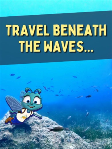 Under the Sea: Easy Guide to Exploring Marine Life