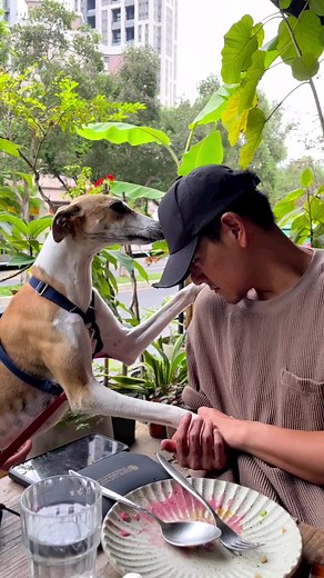 🐶❤️👶 #EddiePeng #彭于晏 | Eddie Peng 彭于晏 Singapore Fanclub