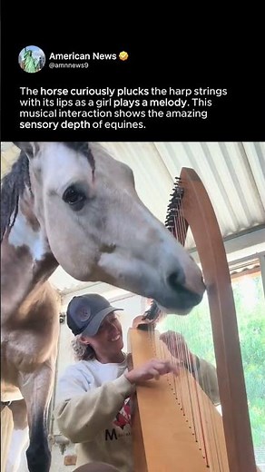 HORSE PLAYS HARP WITH MOUTH