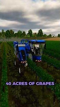 I Harvested 40 Acres of Grapes and Made...