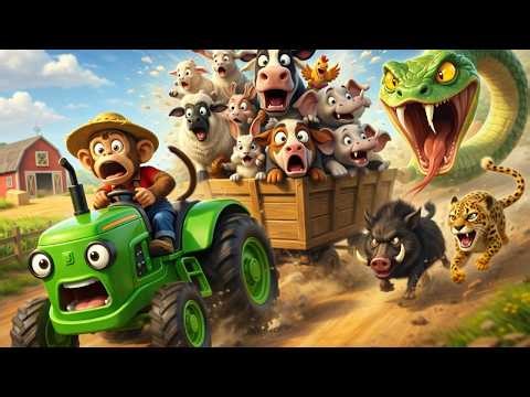 Brave Monkey Saves the Farm 🐵 Epic Wild Boar Fight & Giant Snake Chase!