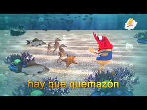 Pachorra Verano - ¡Camarón!