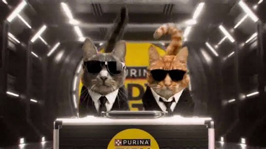 Purina Tidy Cats Performance TV Spot, 'Mission: Keep Life Tidy'