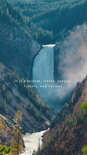 The Ecosystem Map #shorts