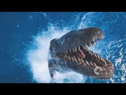Sea Monsters Trailer