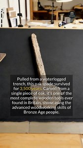Carved from a single piece of oak 3,500 years ago, what would you use this ancient spade for today? #archaeology #ancienthistory #discovery | Intriguing Archaeology
