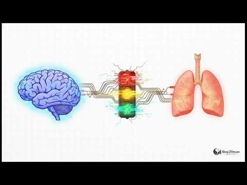 CPAP Alternatives: Understanding the 3 Causes of Sleep Apnoea