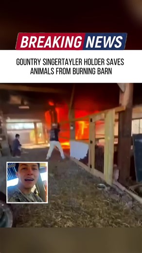 Gountry singertayler holder saves animals from burning barn #foryou #greenscreen #fyp #news