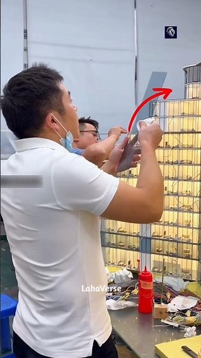 Why Japan Builds Mini Cities Before Real Ones 😱