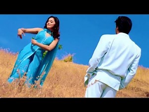 Hum Tumhare Hain Sanam | Shahrukh Khan , Madhuri Dixit , Udit Narayan , Anuradha Paudwal , 90's Song