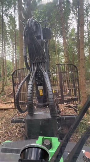 Timber Harvesting Techniques for Effective Forestry