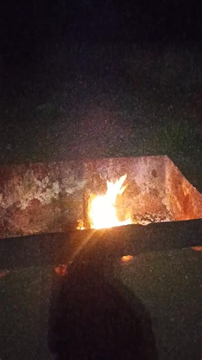 If you listen hard enough you'll hear barking geckos in the Kalahari dunes #whyafricaroadtrips #whyafrica #camping #overland #overlandlife #4x4 #4x4life #touroperator #tourguide #conservation #travelafrica #safari #mobilesafari | WhyAfrica