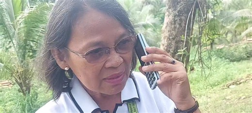 LOOK : The ongoing cutting of tall coconut trees at the PCA Albay Research Center in Barangay Banao, Guinobatan, Albay is part of the government’s preparations for a nationwide coconut hybridization program. According to OIC Albay PCA Research Center Manager Ma. Theresa Namia, the purpose of cutting down the tall coconut trees is to provide enough space and better growing conditions for the so-called mother palms—the coconut trees that will produce hybrid seeds. She explained that the program in