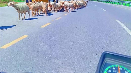 MS Barkot (@ms_barkot)’s videos with original sound - MS Barkot