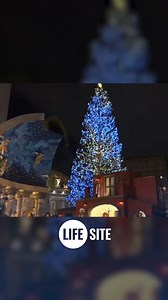 This year's Vatican Christmas tree and Nativity scene REVEALED! | Sign of the Cross