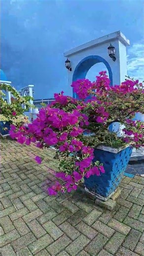 WISATA ASTOUND HILL TONDANO - SULAWESI UTARA #everlastingphotoart