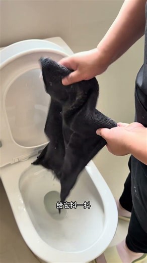 There are two steps to mop the floor, first dusting and then damp mopping.