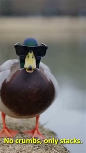 21st Century Humor #shorts #soraai