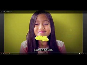 HMH Get Curious: Mystery Animal Hunt