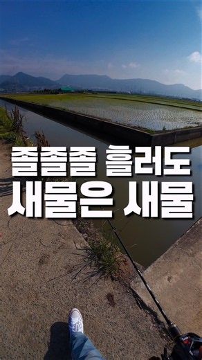 불변의 배스포인트 새물 #피쉬맥스 #잇세이 #마리수 #배스낚시 #루어낚시 #배스 #루어 #bassfishing #lurefishing #bass #バス釣り #バスフィッシング