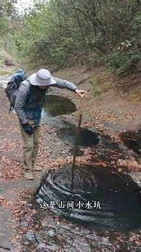 Dangerous Encounters: Is It Safe to Explore These Wild Places? OutdoorAdventure Science