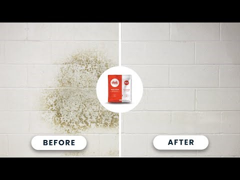 How To Clean Mold Stains on Painted Brick | Dot Cleaner in Action