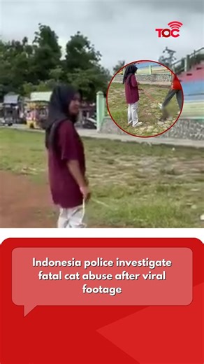 The Online Citizen on Instagram: "Indonesian police are investigating a fatal case of alleged animal abuse after a video showing a man kicking a cat at Kridosono Field in Blora, Central Java, went viral on social media. Authorities said the cat died about a week after the incident. Police have questioned the cat’s owner and an alleged perpetrator as part of the investigation.Investigators are collecting witness statements and reviewing video evidence to establish the full chronology and determin