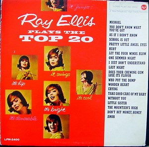 Ray Ellis And His Orchestra - Ray Ellis Plays The Top 20