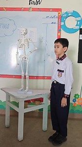 3.3K views · 214 reactions | Skeleton Model Presentation by...