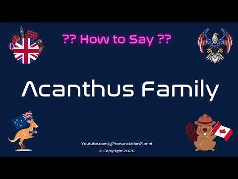 🌿 🌺 How to Pronounce Acanthus Family? (CORRECTLY) | Pronunciation Planet