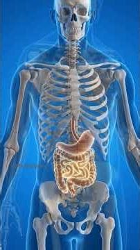 What Happens If You Eat Only Fruits for 10 Days? 🍎🍌 #shorts #viral #viralvideo