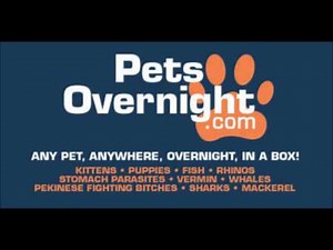 Grand Theft Auto III - Flashback FM - PetsOverNight.com Commercial (Kitten)