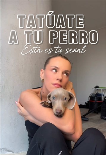 Tatúate a tu perro: Ideas y consejos para un diseño único