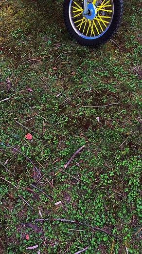 Ultimate Guide to Razer MX650: Upgraded 48V Dirt Bike