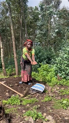 😂 😂 😂 😂 That's how we enter in November my Brother and sisters #the_rayan_music_entertainment #the_rayan_tv_show #