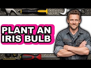 How to Plant an Iris Bulb 2025 - Full Guide