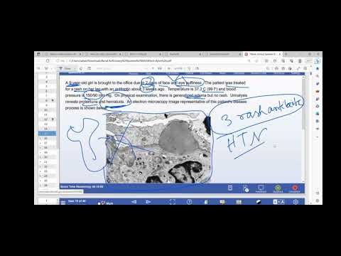 Lecture 26-Renal system 26-UW Q solve 2