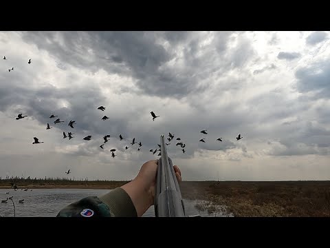 Spring Goose Hunt 2023, In James Bay