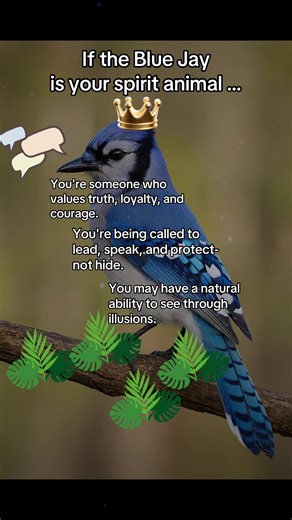 Understanding the Blue Jay as Your Spirit Animal